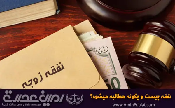 وکیل نفقه | نفقه چیست و چگونه مطالبه میشود؟