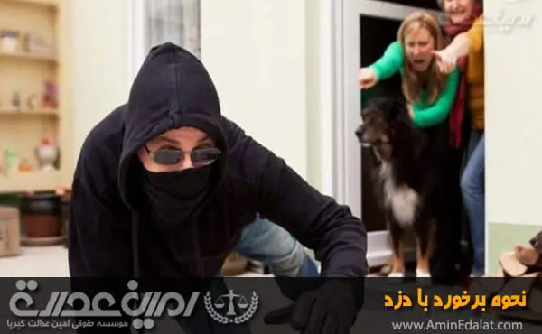 نحوه برخورد با دزد چگونه است؟