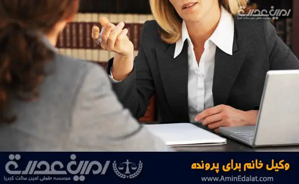 وکیل خانم برای پرونده