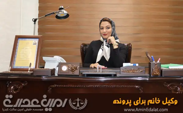 وکیل خانم برای پرونده