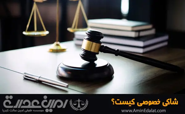 شاکی خصوصی کیست؟