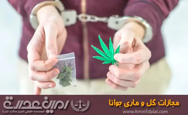 مجازات گل و ماری جوانا